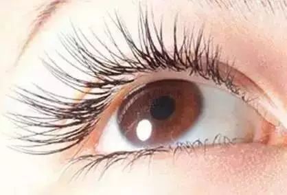 每天涂睫毛膏有助于睫毛生长吗,睫毛打底会促进睫毛生长吗