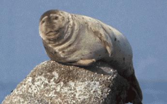 打嗝不止的病,打嗝不止的后果