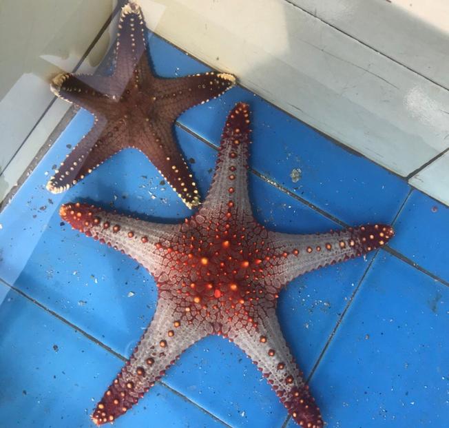 距离珠海最近的岛屿,珠海马尔代夫海岛