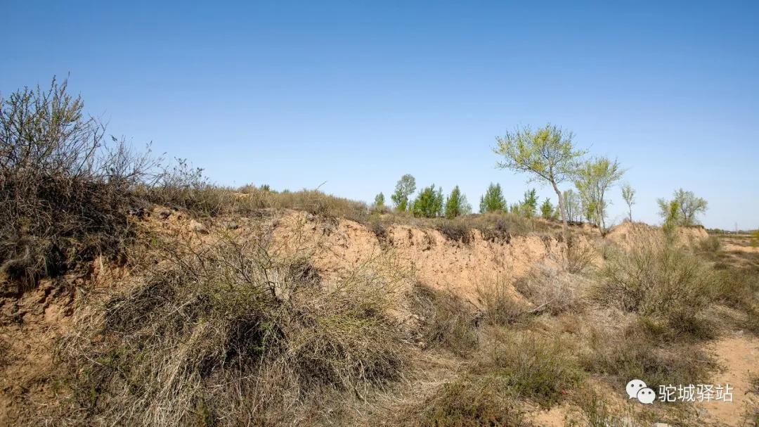 榆林芹河旅游,榆阳区周末游玩推荐