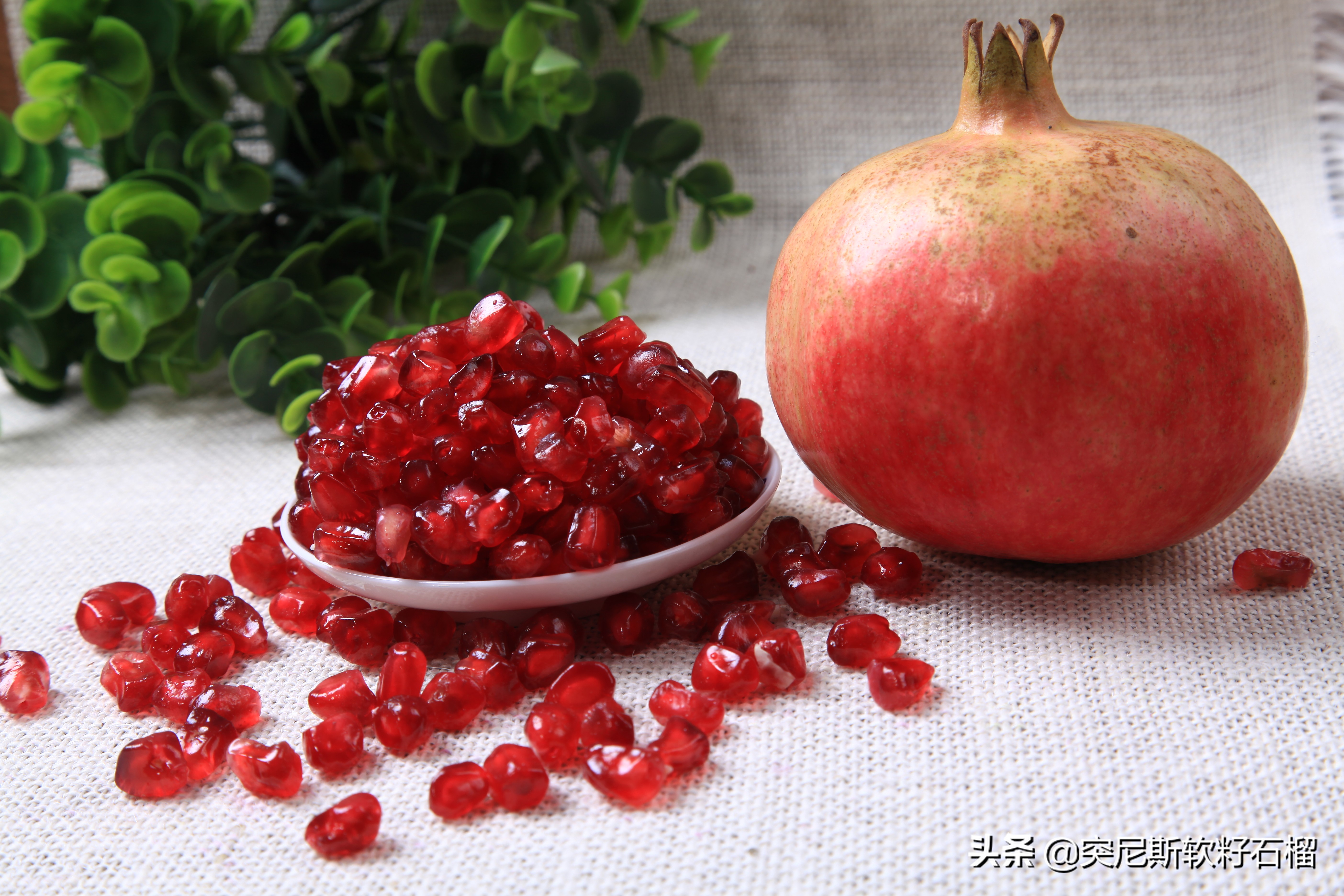 你对突尼斯软籽石榴了解多少,突尼斯软籽石榴的正确打开方式