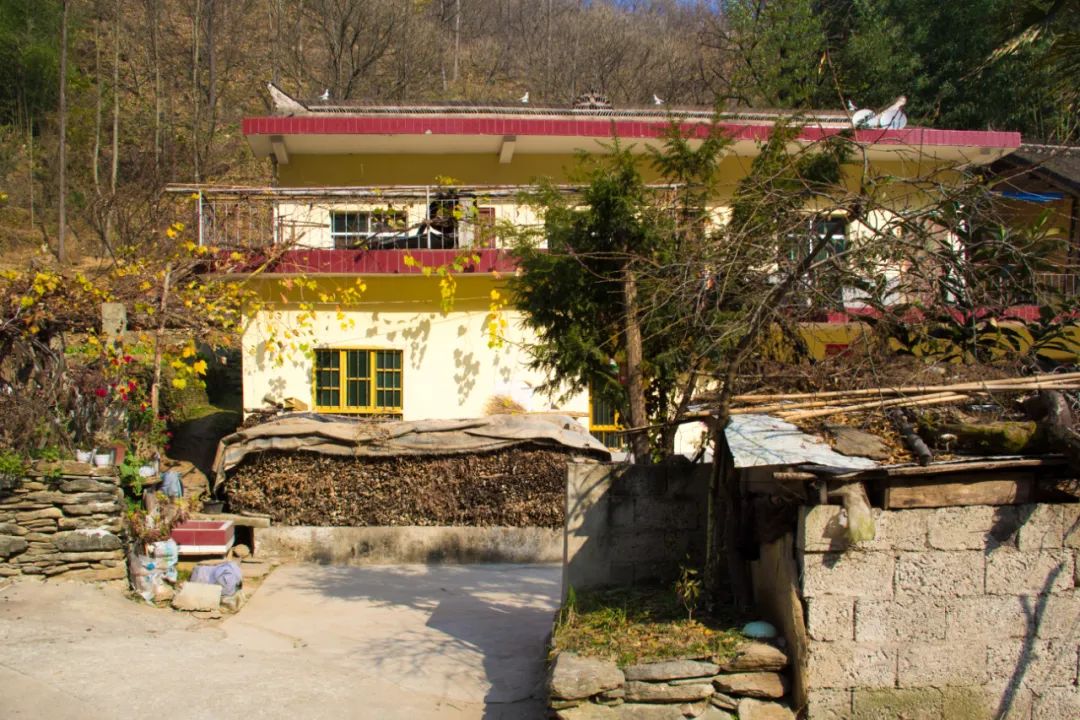 寻访秦岭龙潭村,背篓都是背在背上,这位大婶为何将其挎在腰间?