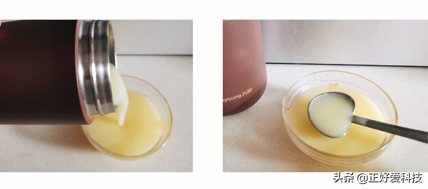 口袋养生，把你捧在手心里，东菱轻食杯VS九阳魔法豆迷你豆浆机