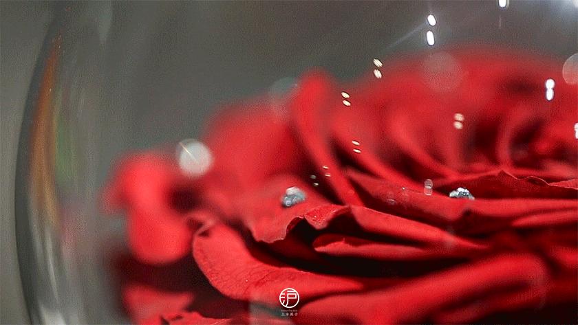 被“佟年”捧在手心的七夕礼物，藏在魔都真爱地标里