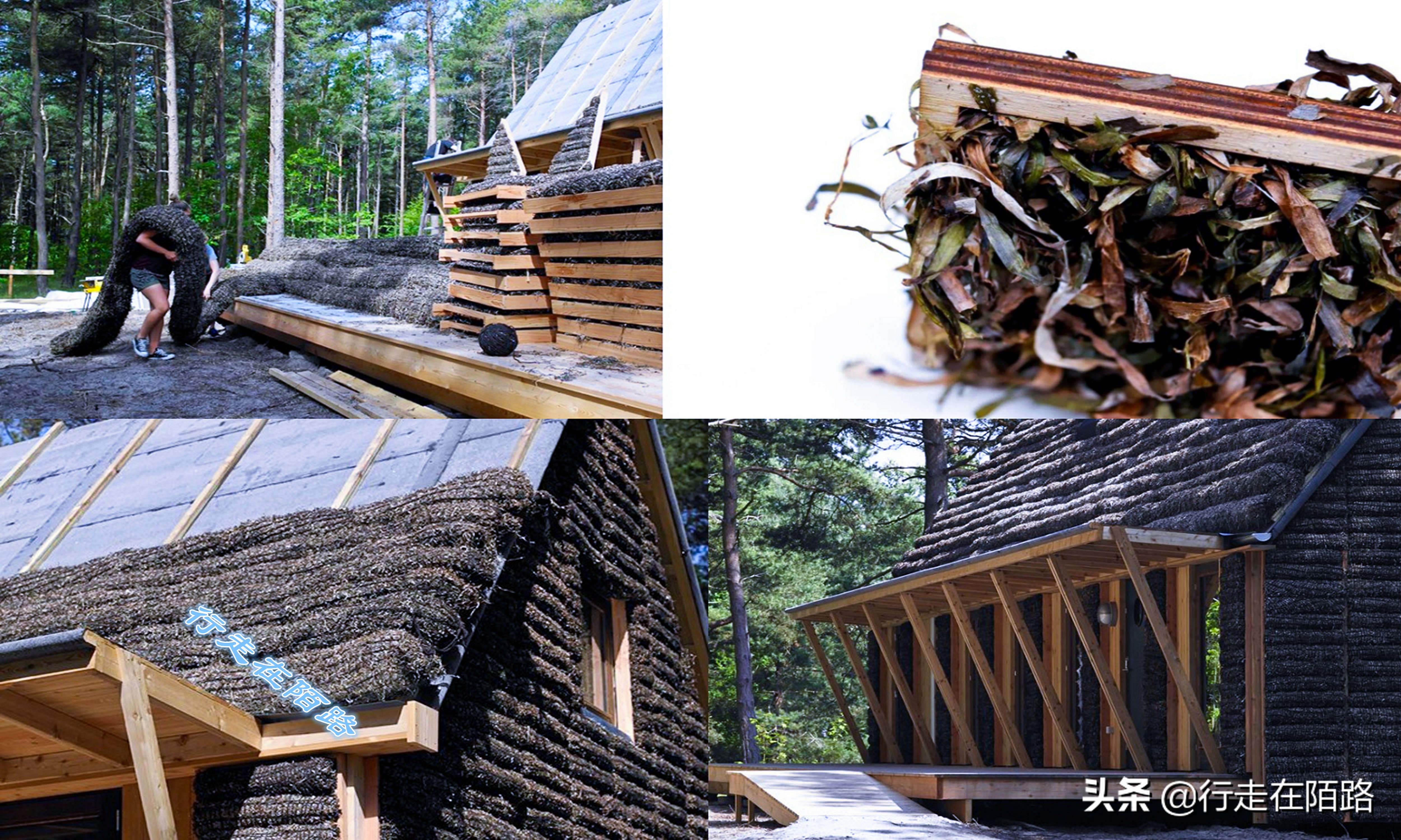 最廉价的房子,最廉价的房子建造