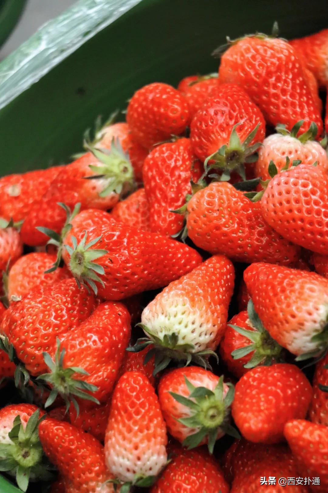 在西安,你一定要逛一次万寿路的早市