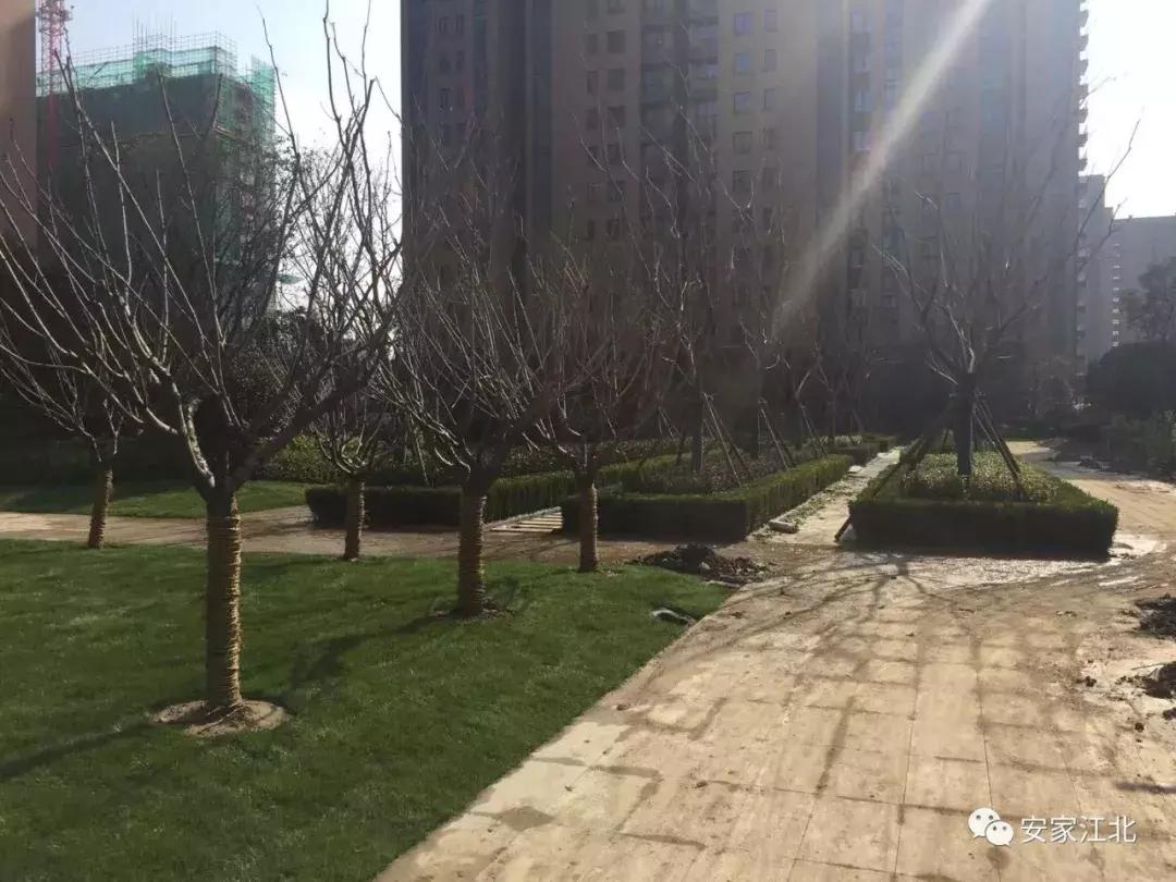 南京江北4号线新楼盘,南京地铁盘怎么样