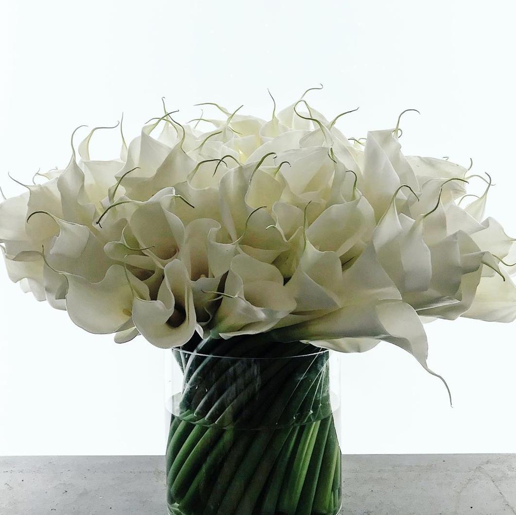 国产马蹄莲盆栽夏天怎么养护,马蹄莲花期施什么肥好养护它呢