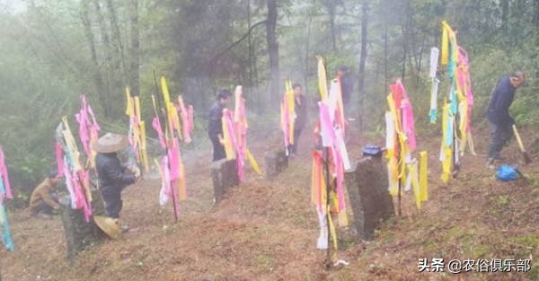 清明节上坟烧纸的正确方法,清明节扫墓白纸还是黄纸