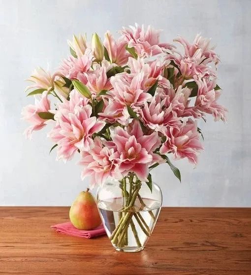 秋日赏花，百合必须要拥有姓名