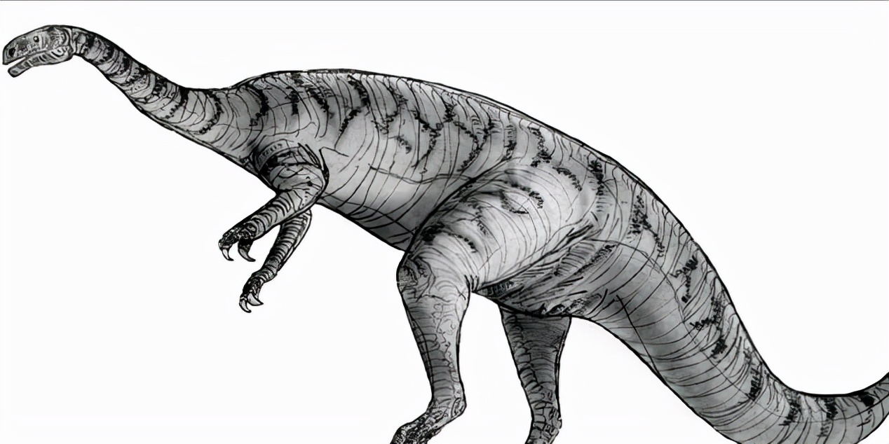 如果把地球46亿年历史压缩成1天，会发生哪些大事件？