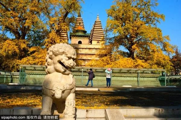 冰雪嘉年华温泉游玩攻略,北京可以泡温泉滑滑梯的地方