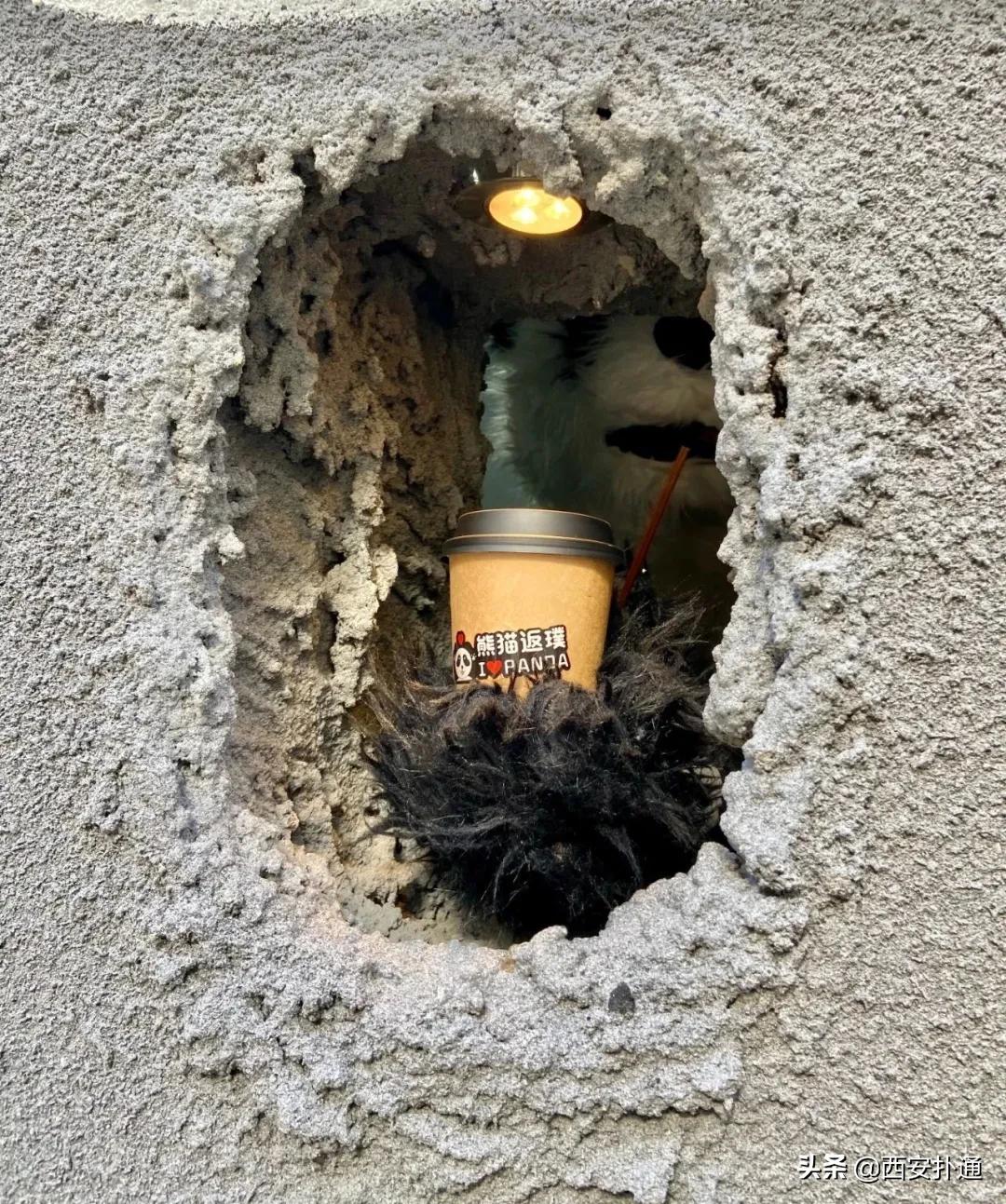 仅凭一个洞就爆火全网，这家熊爪咖啡西安也有了