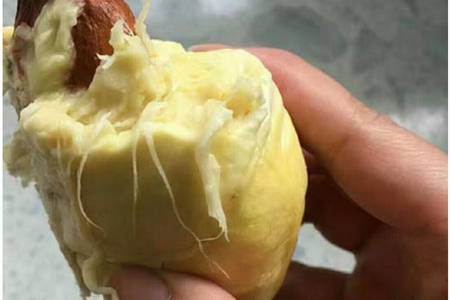 怀孕前三个月可以吃榴莲千层吗,怀孕前三个月能吃榴莲味的面包吗