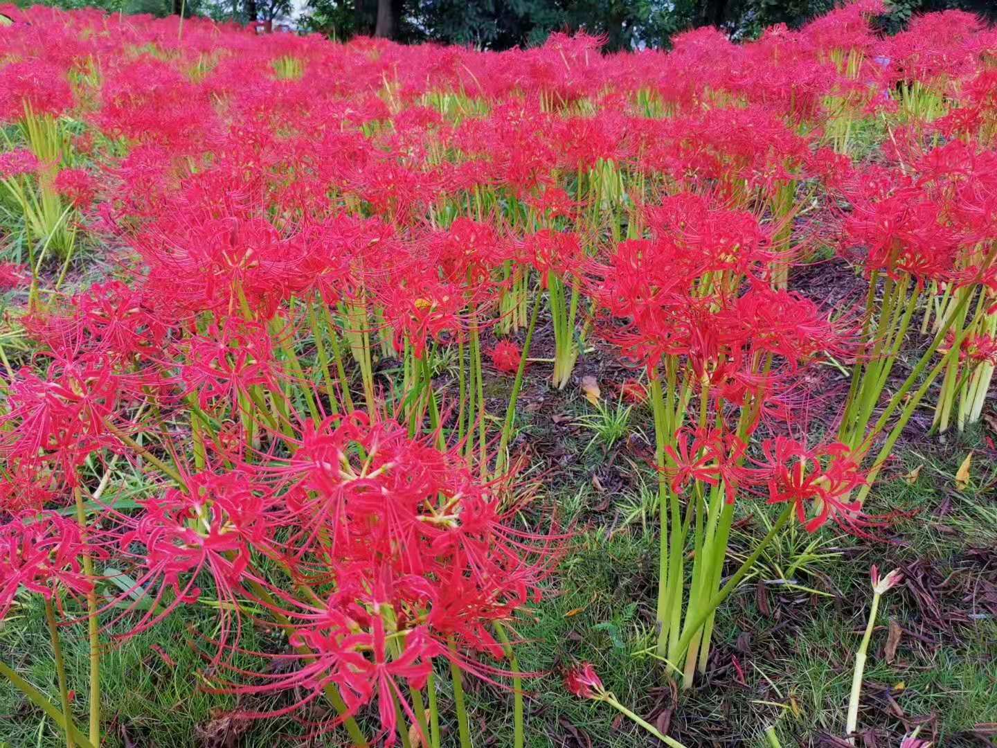 商品储存的名词解释,严格管理库存的描述