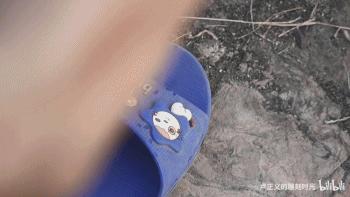 莆田除了鞋有衣服吗,莆田除了鞋子还有什么支柱产业