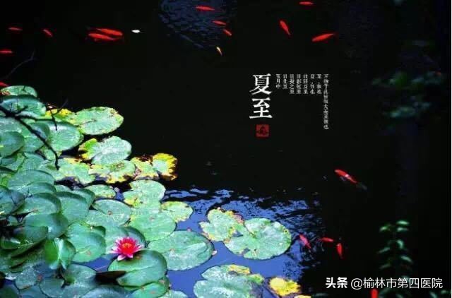 榆林市星元医院“冬病夏治”贴敷治疗项目正式启动