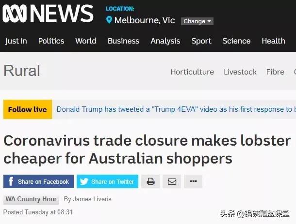 龙虾不吃东西,龙虾没人吃