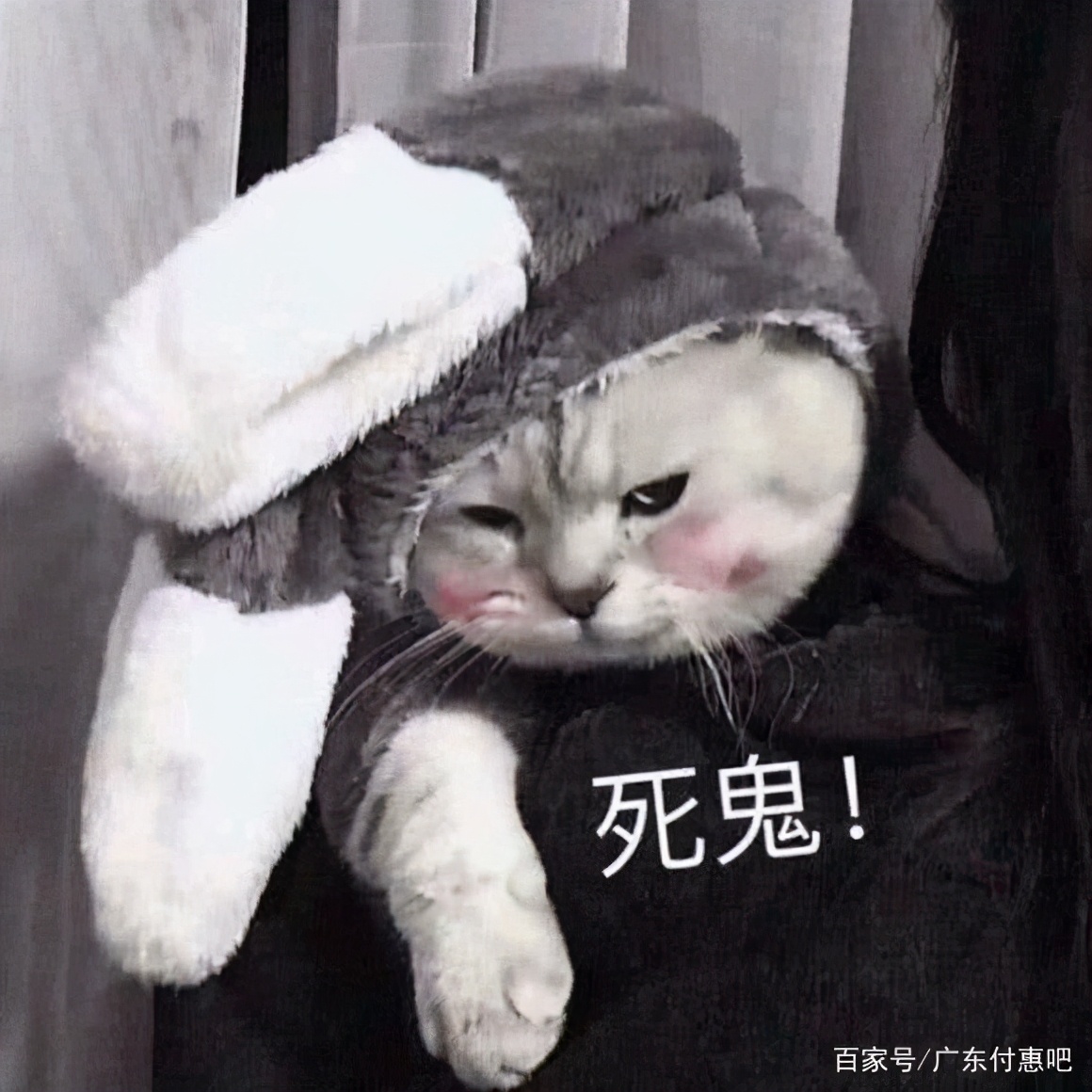 广东话中的万能字有多让人疑惑,广东话的冷门字