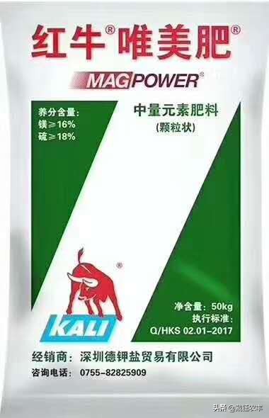 台风利奇马被水淹,利奇马台风水淹几米