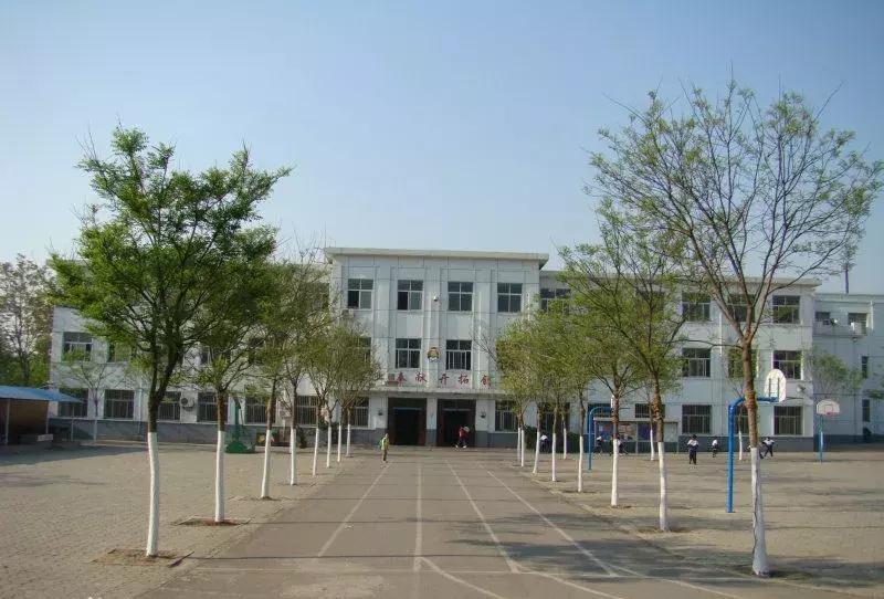 关于武清学区房,大神杨总说...