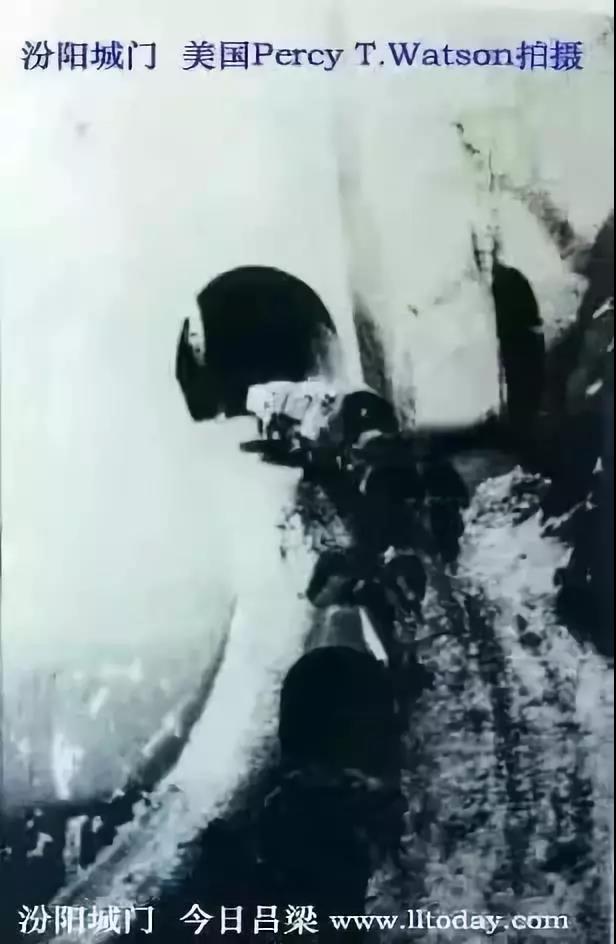 我叫汾阳，这是我2020年最新简历，请多关照