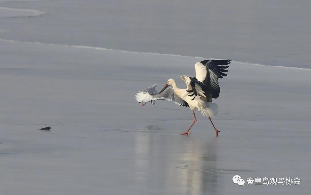 爱心让世界变得更美好作文,爱心让冬日暖意融融