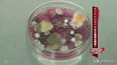 科普天天洗澡竟有两大危害,天天洗衣服衣服怎么还会脏