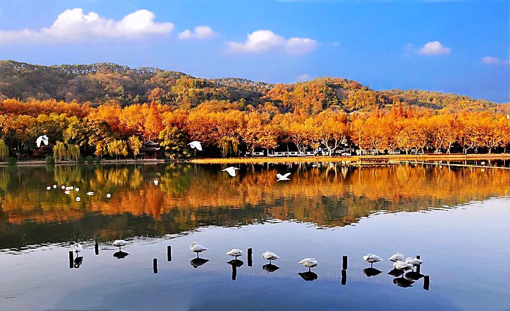 浙江杭州西溪国家湿地公园二期,杭州国家西溪湿地公园