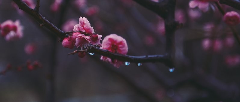 如何判断一个男人是否厌恶你,如何区分男人是否真心爱