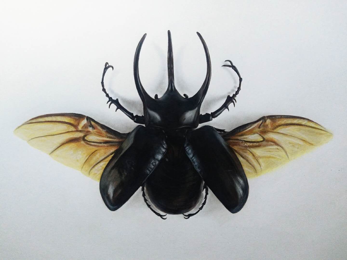 幸福原创画吧,幸福画吧画友作品展示