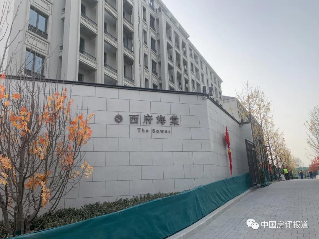 「区域测评」回访五里坨“三兄弟”：当年的flag实现了吗？