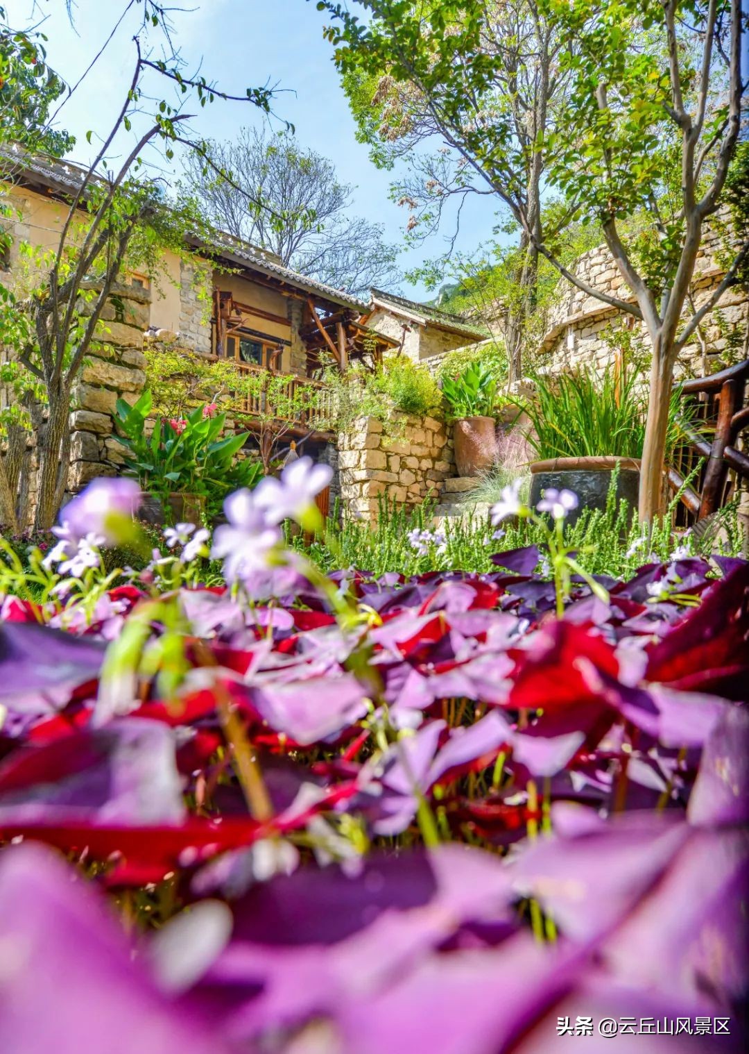 隐藏大山深处的绝佳旅游去处,旅行隐藏在大山里的世外桃源
