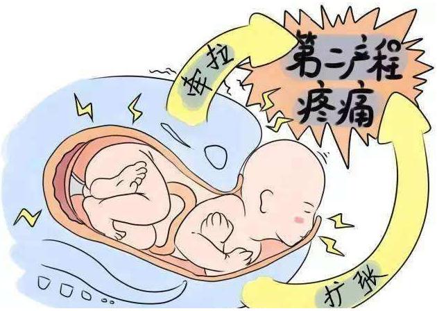 妇产科医生给孕妇生孩子,妇产科医生怀孕要生了