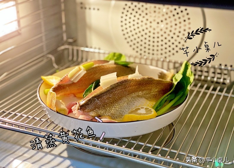 蒸箱烤箱选择攻略,烤箱蒸箱家庭用