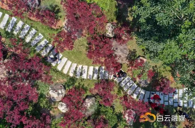 帽峰山看枫叶路线,帽峰山看枫叶