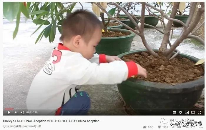 抖音网红领养的孩子,网红博主领养中国残疾人