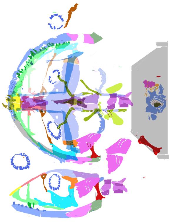 缈奸緳鍊掓寕,缈奸緳鍊掓寕鍗婄┖