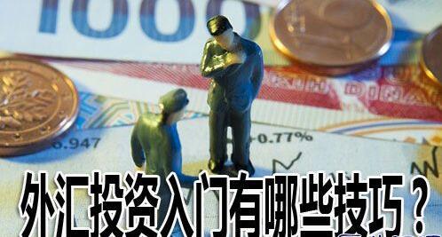 炒外汇的基本入门知识是什么,炒外汇入门基础知识