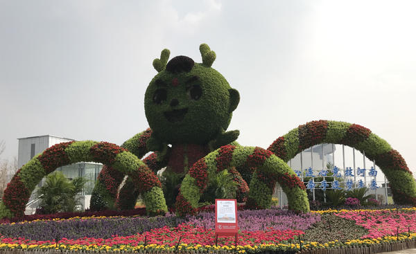 百花齐放迎盛世华夏崛起在今朝,花团锦簇万众瞩目
