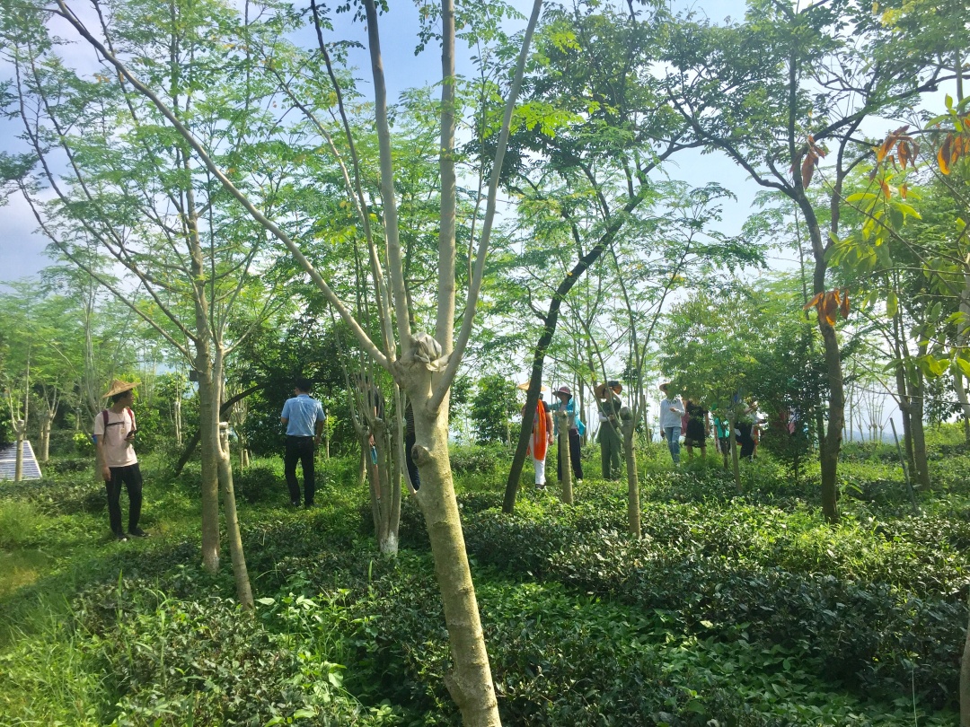 小孩为什么容易感冒咳嗽,小孩容易感冒咳嗽什么原因