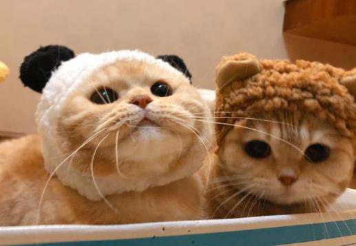 怎样知道自己有神,你知道眼睛的存在吗