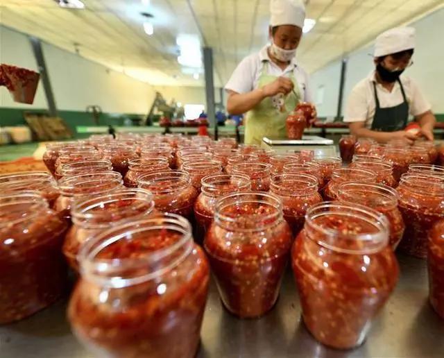 2023农村创业致富项目大全,2023年农村创业赚钱项目