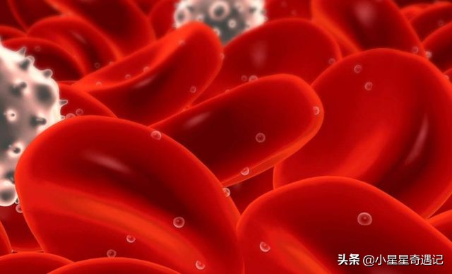 人类死亡后身体的恐怖变化,人类死之后身体会发生哪些变化