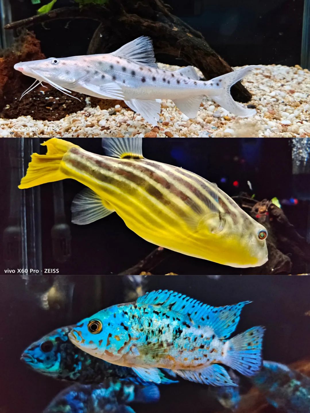 开启非凡住宿万豪旅享家,万豪旅享家万物皆可串