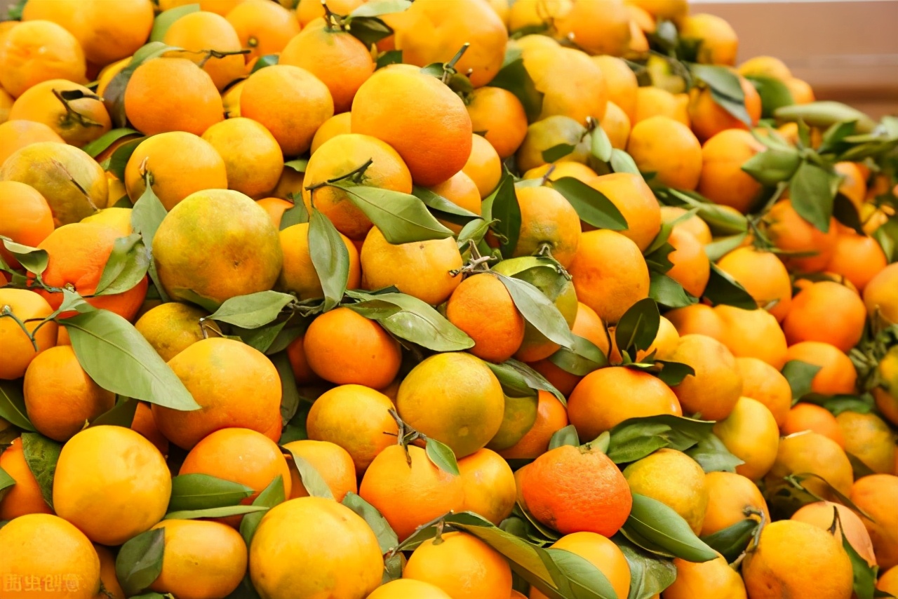 果园如何改造与乡村振兴结合,种植果园与乡村振兴有关系吗