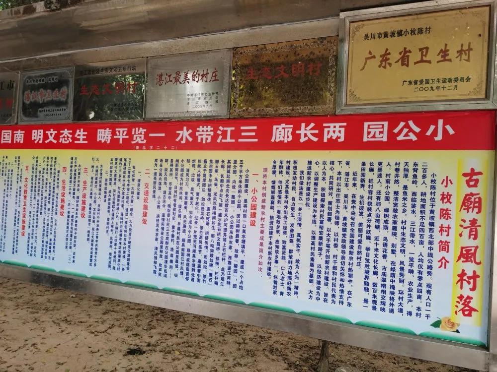 吴川一老先生归乡游玩,抒发家乡社会主义新农村建设有感