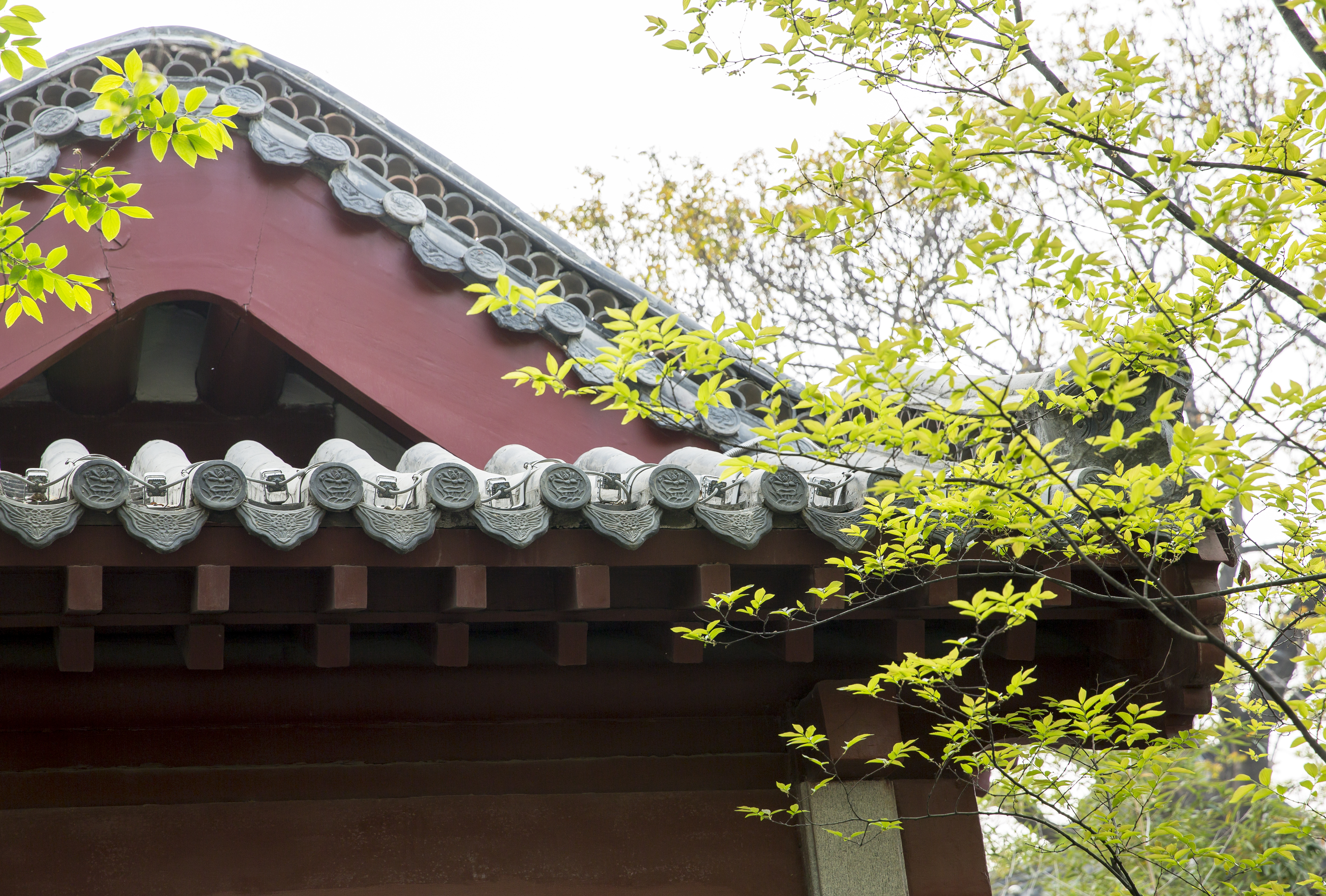 飞花令关于月的诗句赏析,飞花令关于月的诗句最新