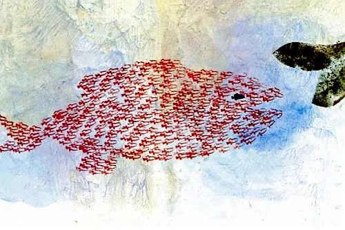 超级干货书单,超级干货视频识字