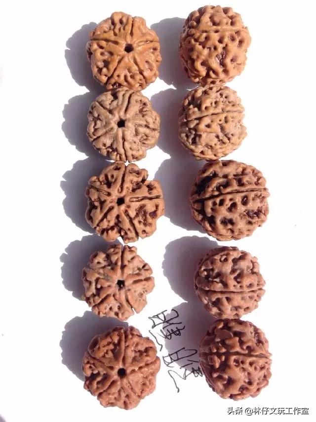 金刚菩提108颗都有什么皮质,金刚菩提的挑选